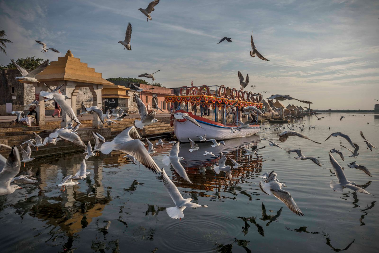 Exploring the Best Things to Do Near Aranya Resort A Nature Paradise in Sasan Gir