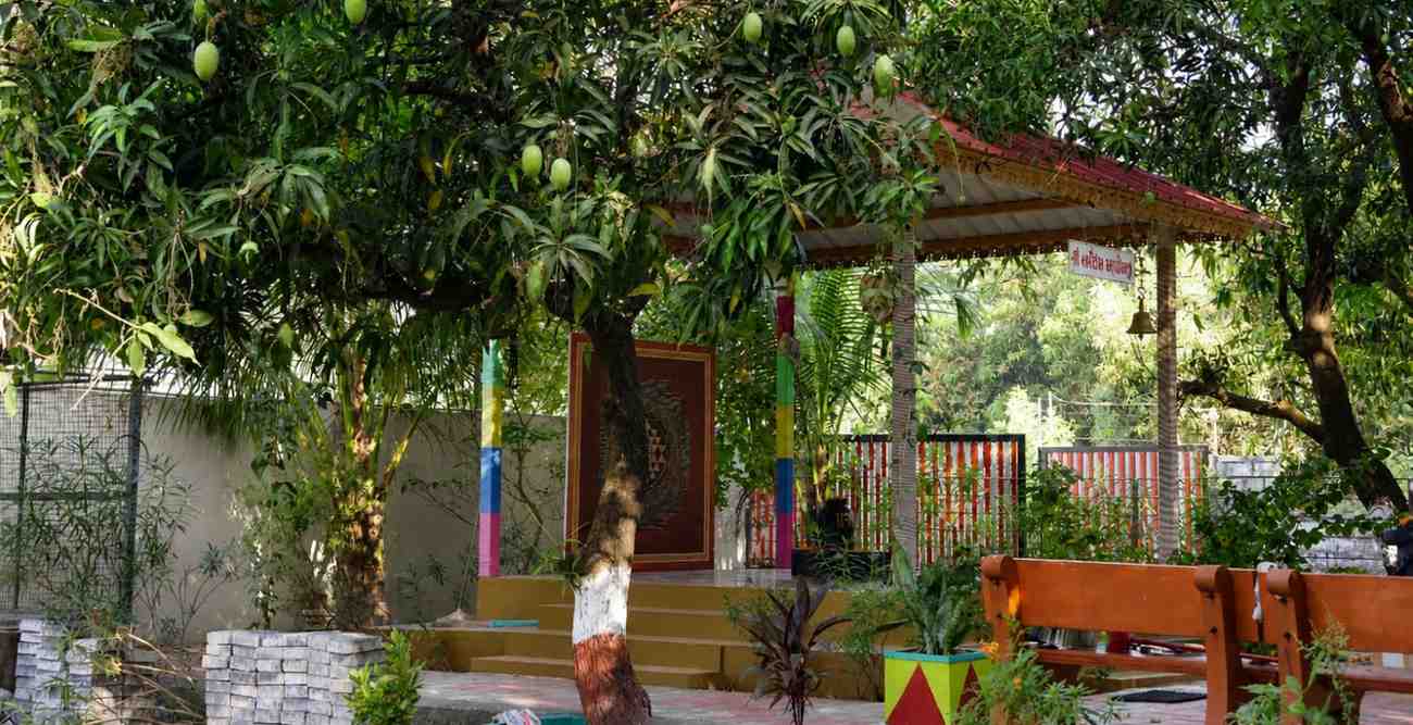 Talala Kesar Keri vs. Other Mango Varieties: What Makes It Unique? 