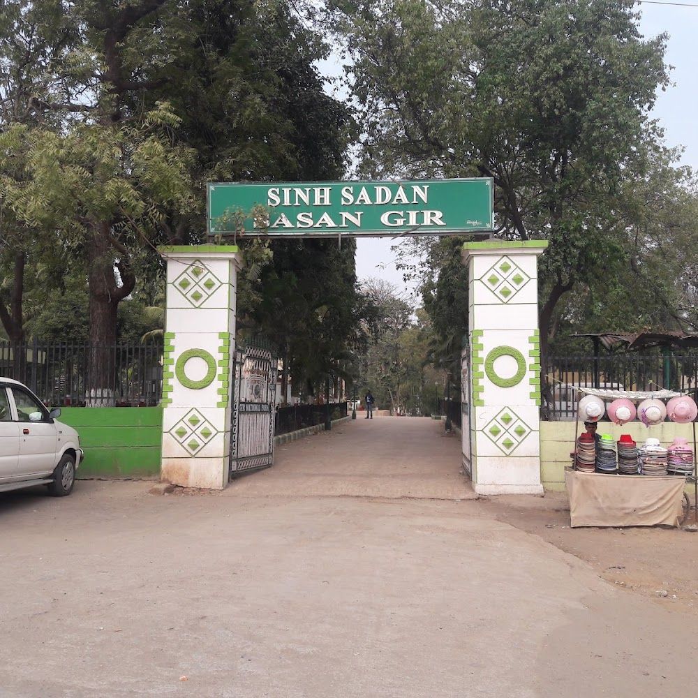 Sasan Gir Museum